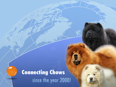 Connecting Chows since the Year 2000
