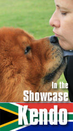 Celebrating Our Chow-Chows on NetChows.com