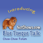 Chow-Chow Website in the Spotlight