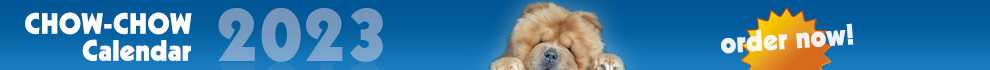 Chow-Chow Calendar 2013 - Order now