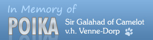 In Memory of Sir Galahad of Camelot v.h. Venne-Dorp
