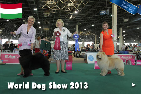 FCI World Dog Show 2013 - Hungary, Budapest