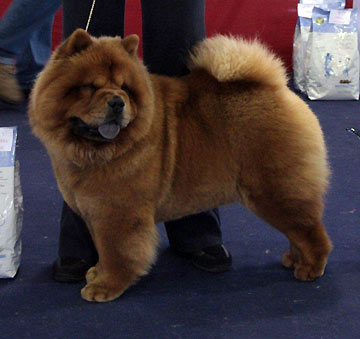 Switzerland, St-Gallen