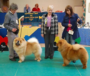 United Kingdom, Studley