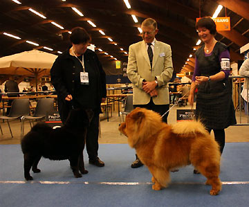 Netherlands, Zwolle