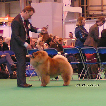 CRUFTS 2010