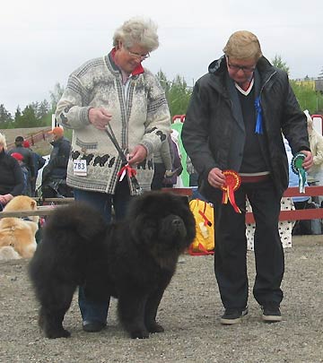 Finland, Joensuu