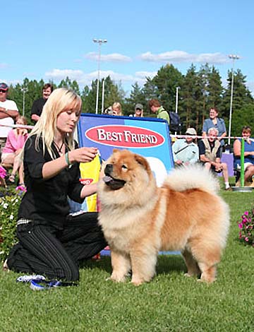 Finland, Laukaa