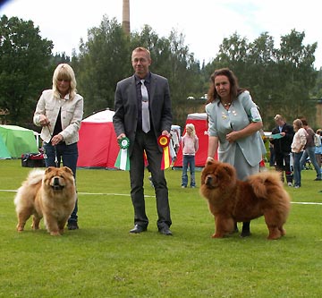 Sweden, Borås