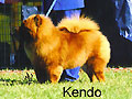 Kimekai Son of Samuri
