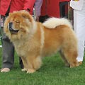 Pei Fang Red Hot Simson