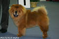 Maruso`s Lord Lester