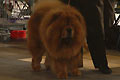 En-Chow v. Mien-Shan