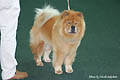 Ey-Li of Golden Chow