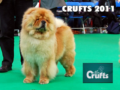 CRUFTS 2011