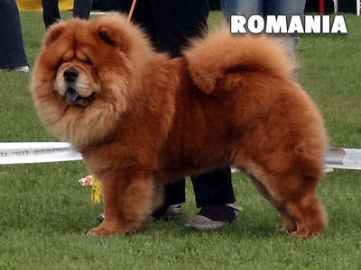 Romania, Satu Mare