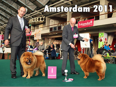 Netherlands, Amsterdam