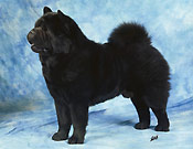 Germany, Großkarlbach