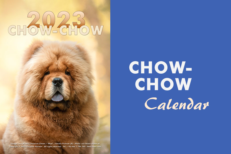 The Chow-Chow Calendar 2023