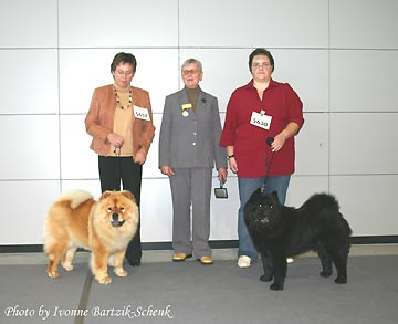 Germany, Stuttgart