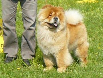 Poland, Jelenia Gora