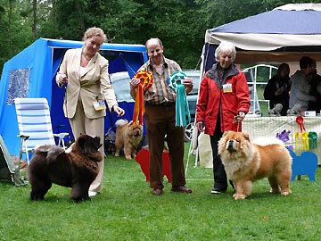 Sweden, Medevi Brunn
