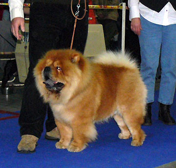 Czech Republic, Prague