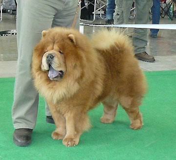 Czech Republic, Brno