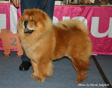 Germany, Dortmund