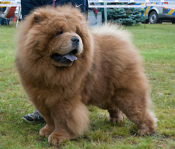 Czech Republic, Prague