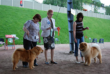 Finland, Hamina