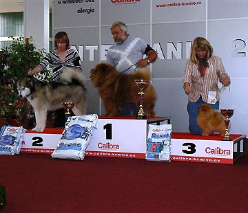 Czech Republic, Brno