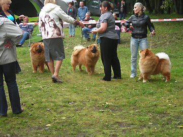 Poland, Swietochlowice