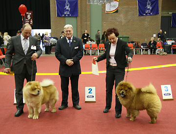 Belgium, Genk
