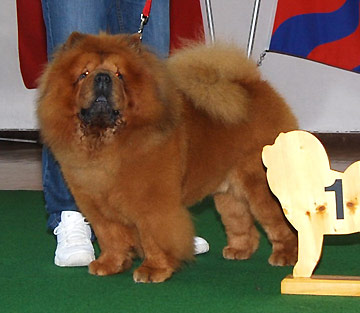 Switzerland, Fribourg