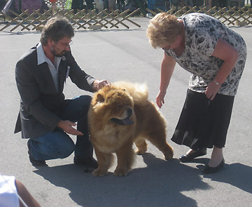 Slovenia, Barje