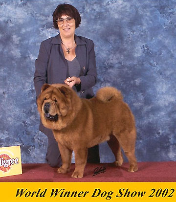 Netherlands, Amsterdam