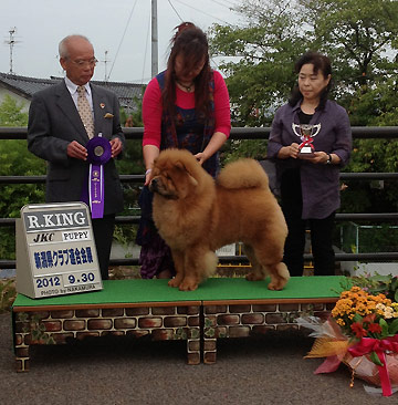Japan, Niigata
