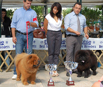 Italy, Massa e Cozzile