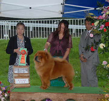 Japan, Iwate