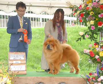 Japan, Iwate