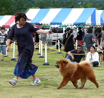 Japan, Yamanakako