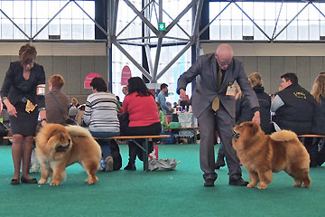 Netherlands, Amsterdam