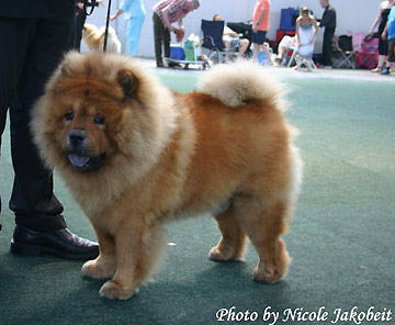 Germany, Saarbrücken