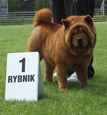 Poland, Rybnik