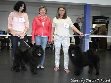 Germany, Ludwigshafen