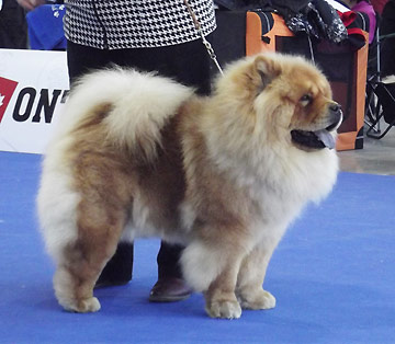 Czech Republic, Brno