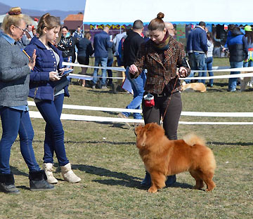 Romania, Bistrita Nasaud