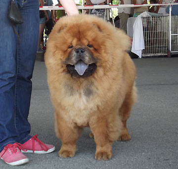 Poland, Bielsko-Biala