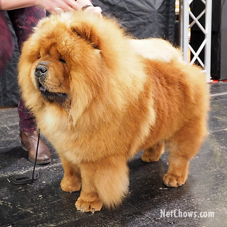 Austria, Graz